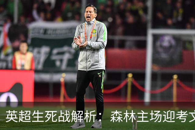 英超生死战解析：森林主场迎考文垂，积分差距下的战术博弈